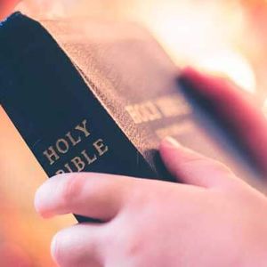 biblia sagrada e curso completo de latim